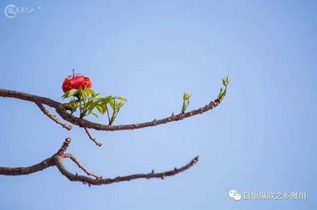 同乐城娱乐app_问鼎娱乐官方网址。